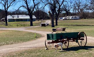 MickandKarla W.'s photo of camping with pets at Pecan Valley RV Park near Telegraph, TX