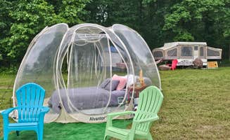 Annette B.'s photo at Jackson Farm near Hartsville, SC