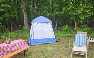 Annette B.'s photo at Jackson Farm near Waxhaw, NC