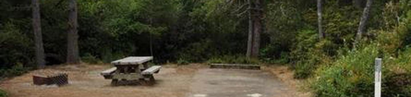 Camper submitted image from Waxmyrtle Campground - 5