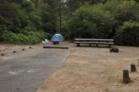 Camper submitted image from Waxmyrtle Campground - 4