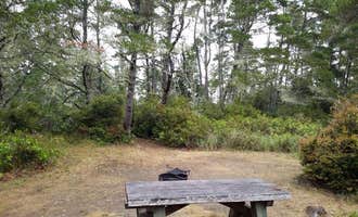 Camping near Driftwood: Waxmyrtle Campground, Florence, Oregon