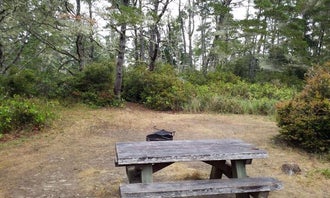 Camping near Lagoon Campground: Waxmyrtle Campground, Florence, Oregon
