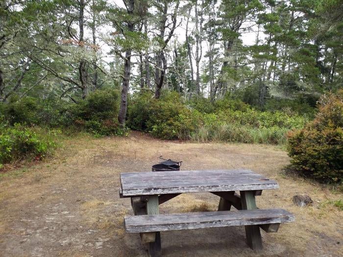 Picnic table, fire ring, and tent site next to coastal shrubs and trees.



Waxmyrtle Campground

Credit: USFS