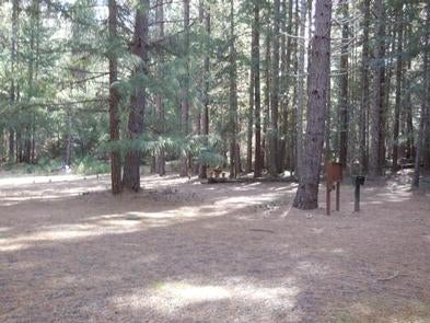Camper submitted image from Whiskey Springs Campground - 2