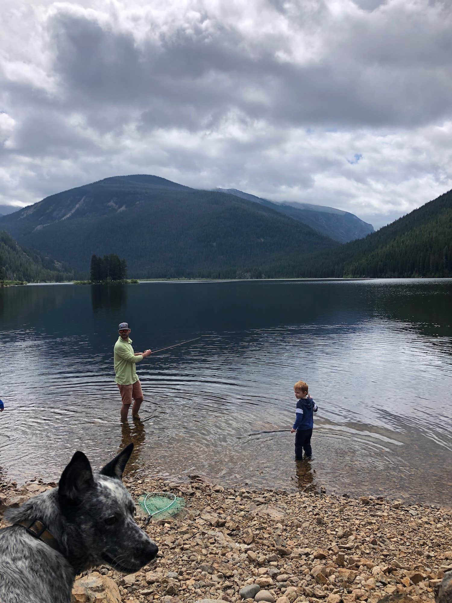 The Dyrt's photo of camping with pets at Arapaho Valley Ranch near Fraser, CO