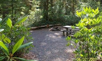 Camping near Jefferson Park Area - Mt. Jefferson Wilderness: Whispering Falls Campground, Idanha, Oregon