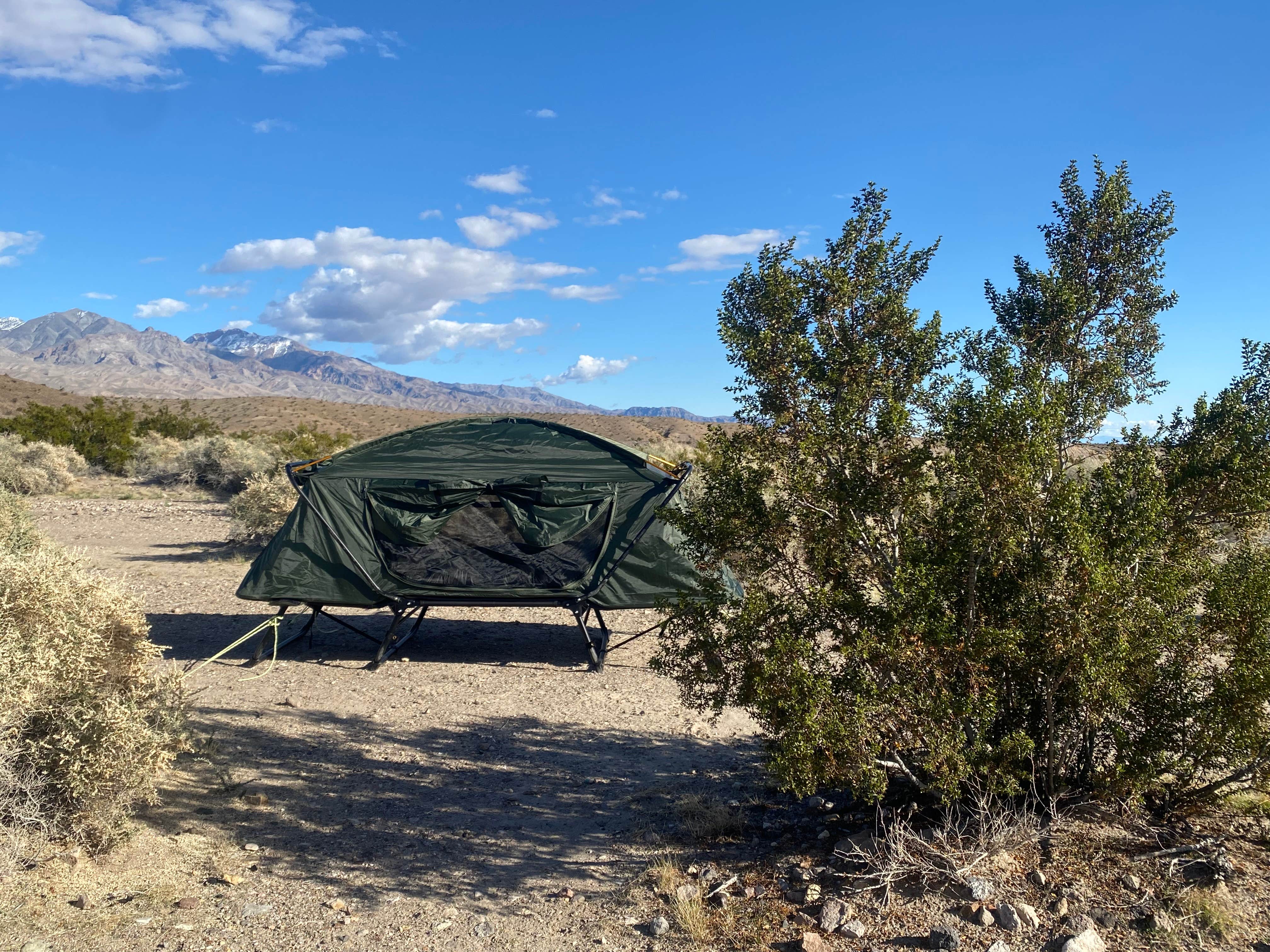Bronco Billy's photo at Mesquite Springs Campground near Beatty, NV