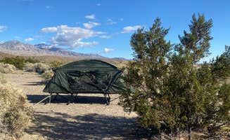 Bronco Billy's photo at Mesquite Springs Campground near Death Valley National Park