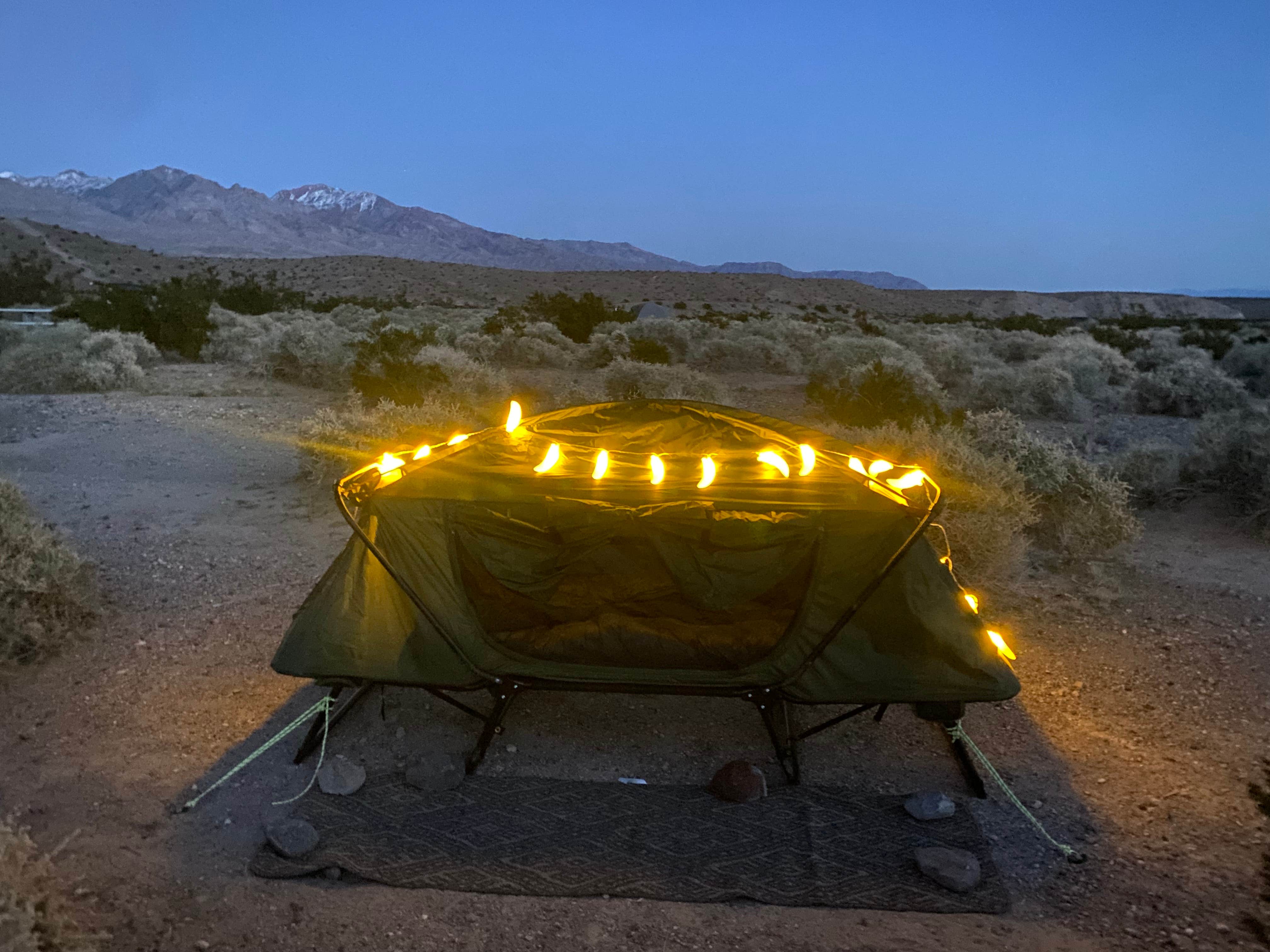 Camper submitted image from Mesquite Springs Campground - 4
