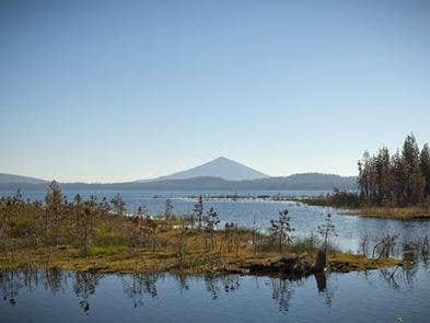 Camper submitted image from Whitefish Horse Camp - 2