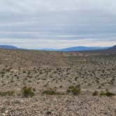 Review photo of Mesquite Springs Campground by Bronco Billy , April 29, 2024