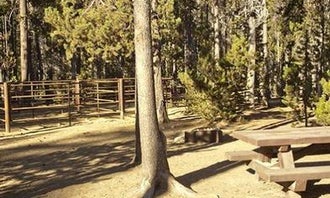 Camping near Deschutes National Forest Spring Campground: Whitefish Horse Camp, Crescent, Oregon