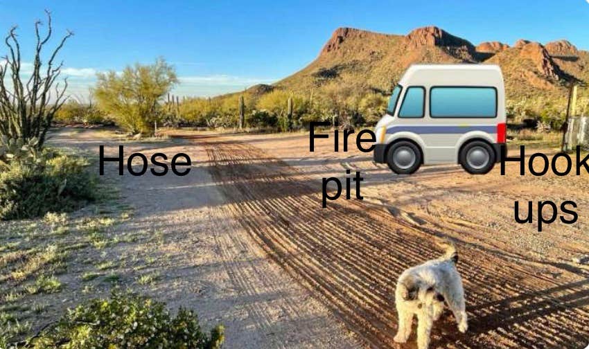 Laura M.'s photo of camping with pets at China Cabinet Ranch near Catalina, AZ