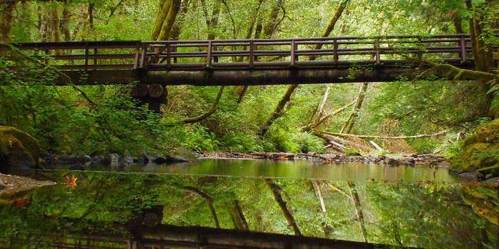 Camper submitted image from Whittaker Creek Recreation Site