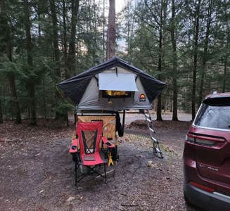 Camper-submitted photo from Penn Roosevelt State Park Campground
