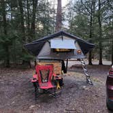 Review photo of Penn Roosevelt State Park Campground by Chuck M., April 29, 2024