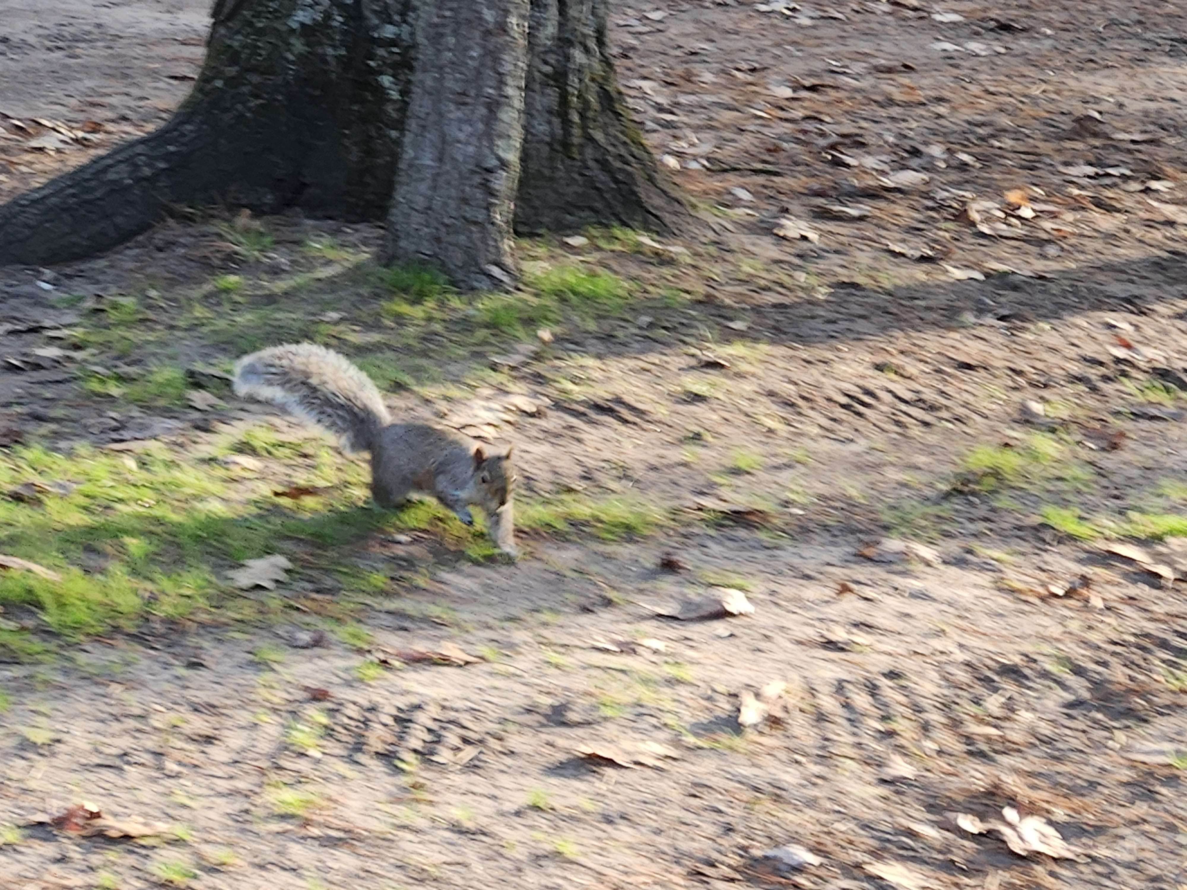 Camper-submitted photo at North Higgins Lake State Park Campground near South Boardman, MI