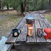 Review photo of Penn Roosevelt State Park Campground by Chuck M., April 29, 2024