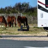 Review photo of Assateague State Park Campground by Chuck M., April 29, 2024