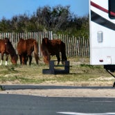 Review photo of Assateague State Park Campground by Chuck M., April 29, 2024