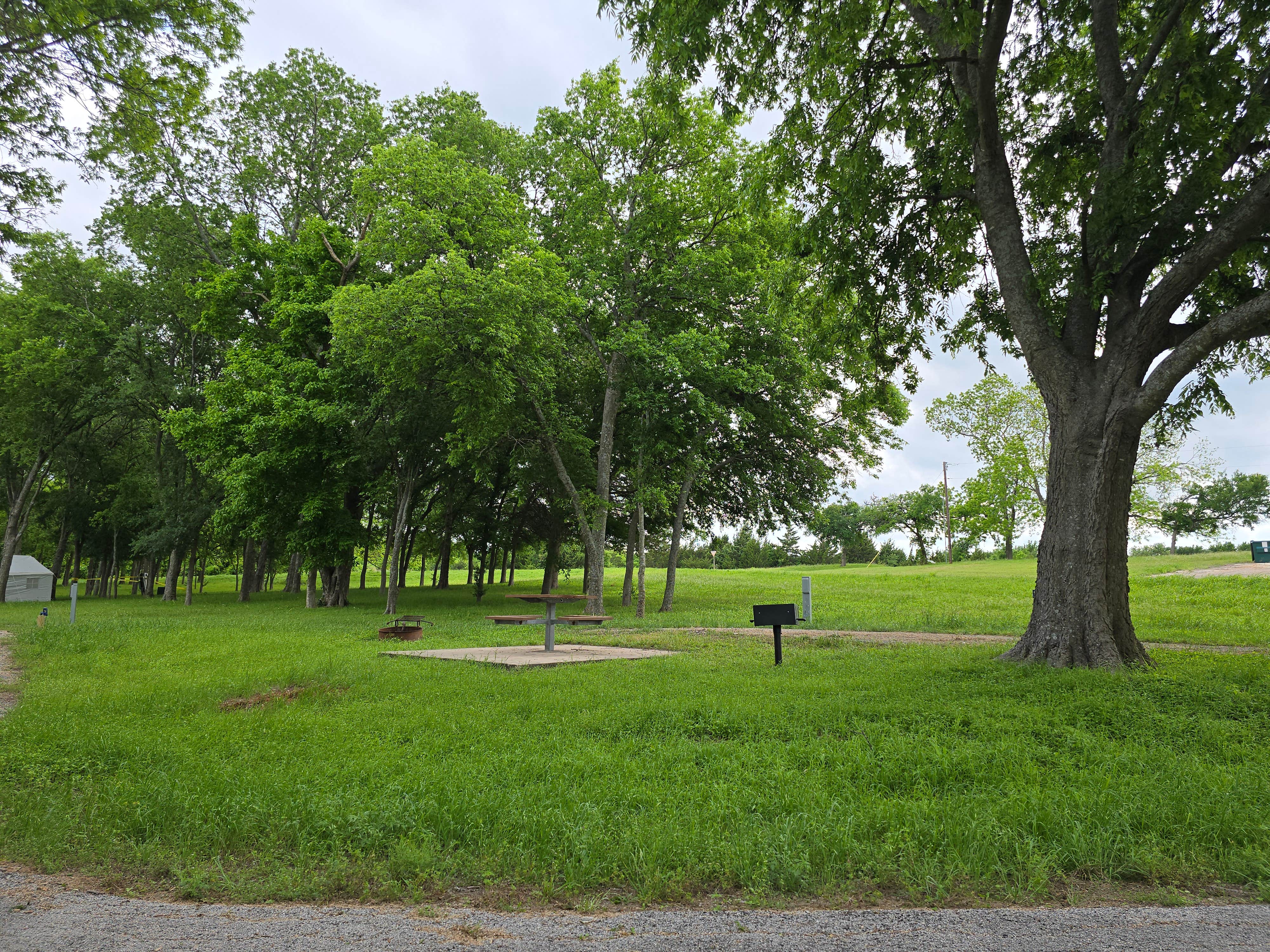 Camper-submitted photo at Waxahachie Creek Park near Bardwell, TX