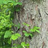 Review photo of Waxahachie Creek Park by Jeanette W., April 29, 2024