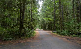 Camping near Maple Grove RV Resort (Randle) - KM Resorts: Gifford Pinchot National Forest North Fork Forest Camp Campground, Randle, Washington