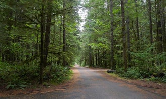 Camping near Iron Creek Campground: Gifford Pinchot National Forest North Fork Forest Camp Campground, Randle, Washington