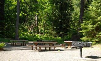Camping near Maple Grove RV Resort (Randle) - KM Resorts: North Fork Elk Group Camp, Randle, Washington