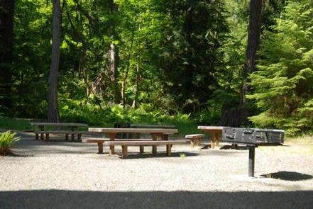 Camper submitted image from North Fork Elk Group Camp - 1