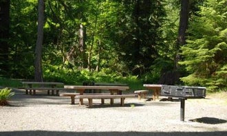 Camping near Iron Creek Campground: North Fork Elk Group Camp, Randle, Washington