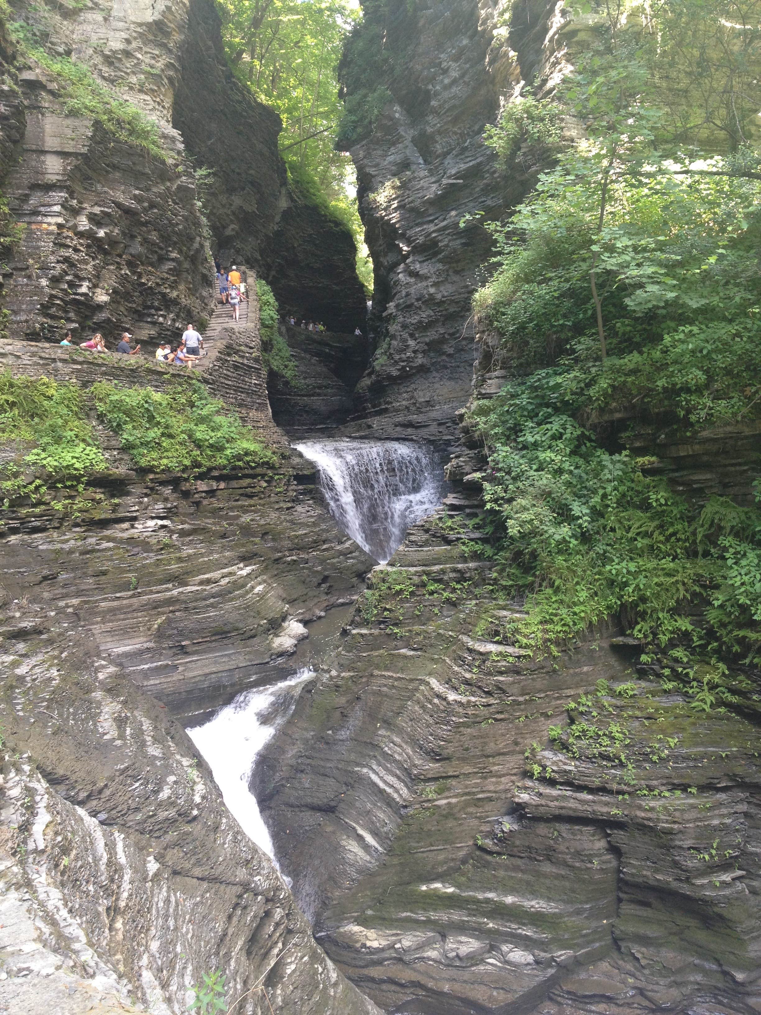 Camper submitted image from Blueberry Patch Campground — Green Mountain & Finger Lakes National Forests - 4