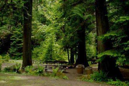 Camper submitted image from North Fork Bear Group Camp — Gifford Pinchot National Forest - 1