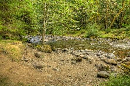 Camper submitted image from North Fork Bear Group Camp — Gifford Pinchot National Forest - 2