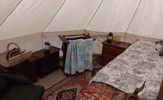 Victor's photo of glamping accommodations at Gee Haven: Yurt & Cabin near Millwood, VA