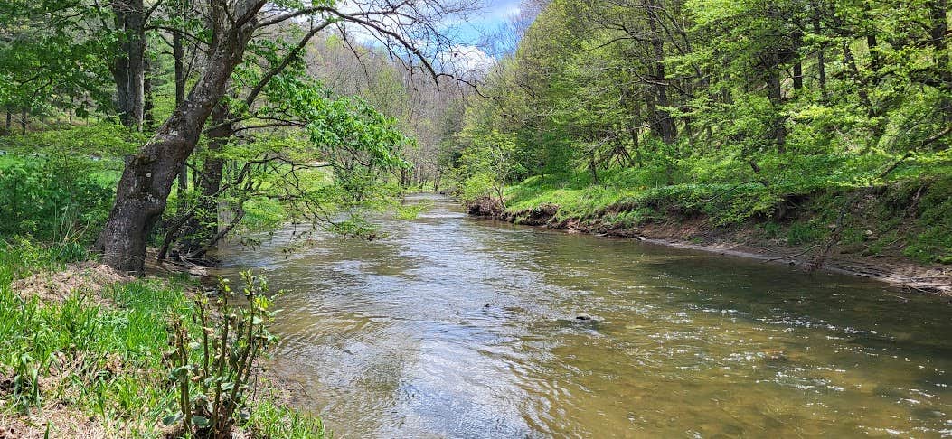 Camper-submitted photo at Mountaineer Campground near Glade Spring, VA