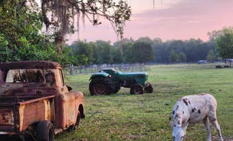 Camping near Find Out Farms: Hearts & Dreams Ranch Retreat, Dade City, Florida