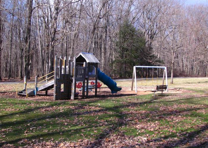 Hearts Content Recreation Area Camping The Dyrt