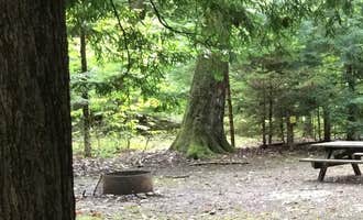 Camping near Double Rainbow Farm : Hearts Content Recreation Area, Tidioute, Pennsylvania