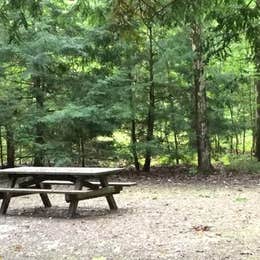 Public Campgrounds: Hearts Content Recreation Area
