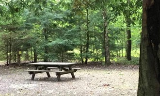 Camping near Chapman State Park: Hearts Content Recreation Area, Tidioute, Pennsylvania