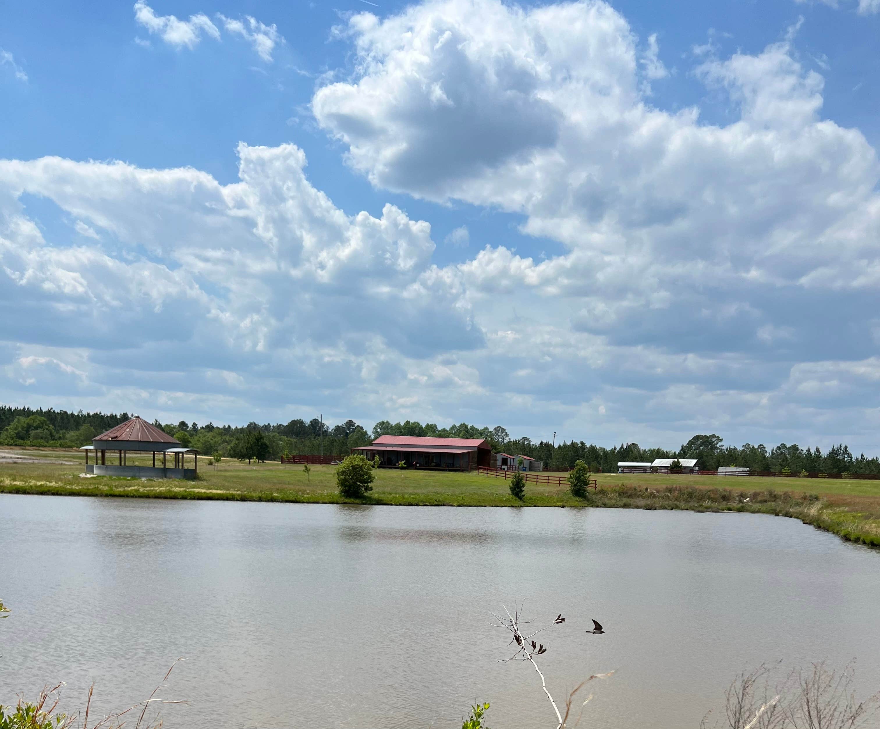 Camping near General Coffee State Park Campground: Nine Point Properties, Lumber City, Georgia