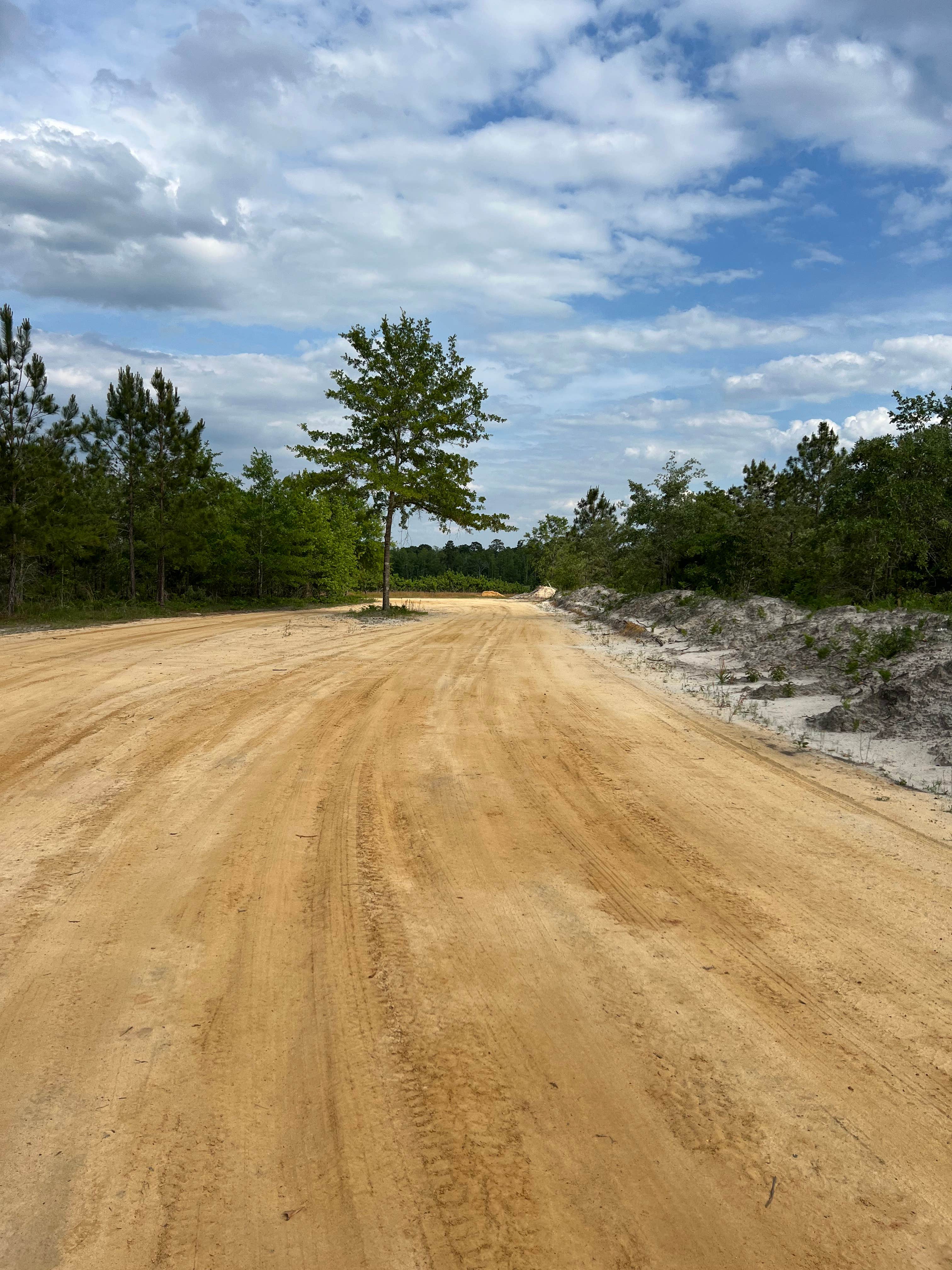 Camper-submitted photo at Nine Point Properties near Nicholls, GA