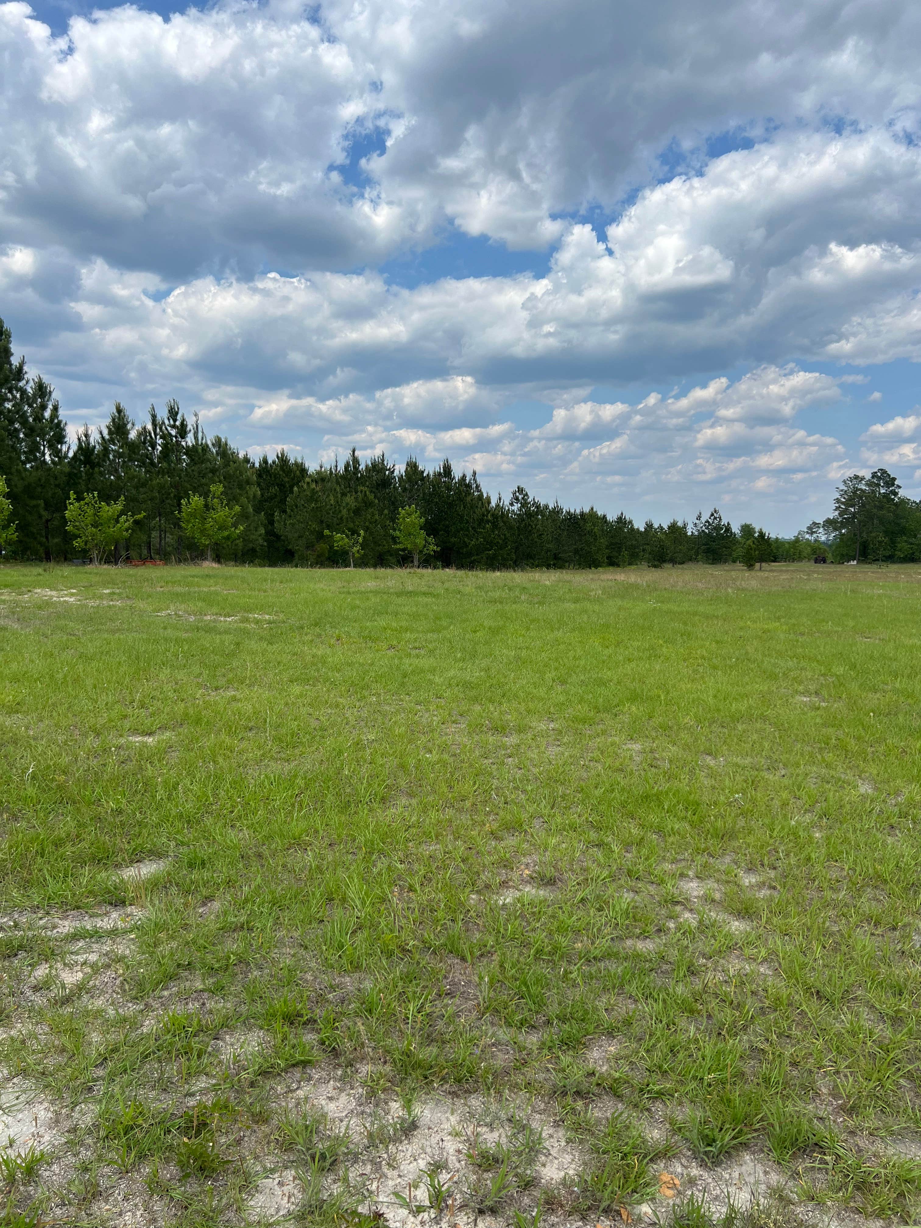 Camper-submitted photo at Nine Point Properties near Nicholls, GA