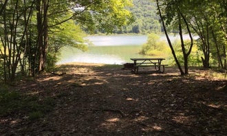 Camping near Pine Grove Boat Access Campground: Kiasutha, Ludlow, Pennsylvania