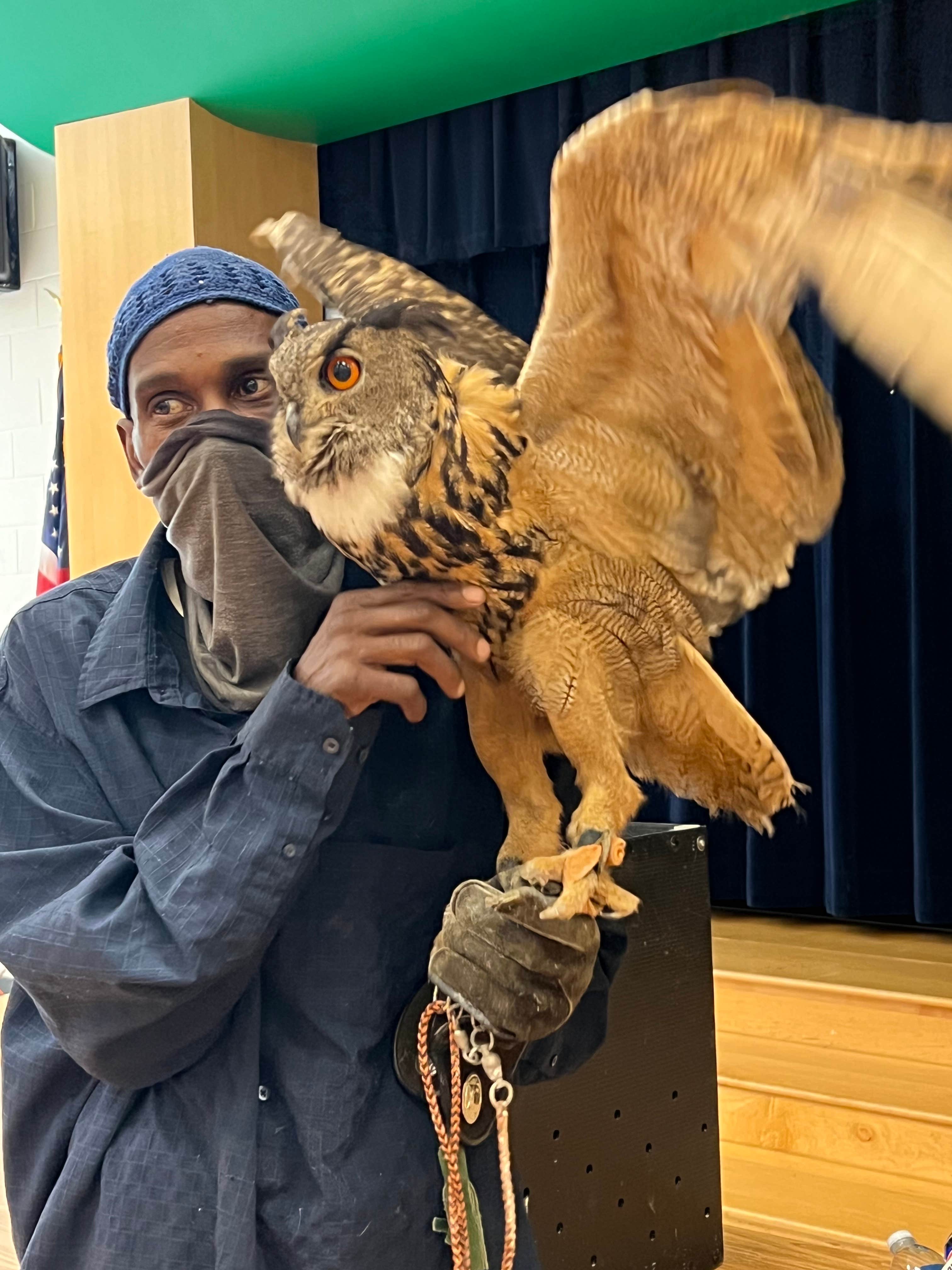 Camper-submitted photo at RodneysRaptors near Chatham, VA