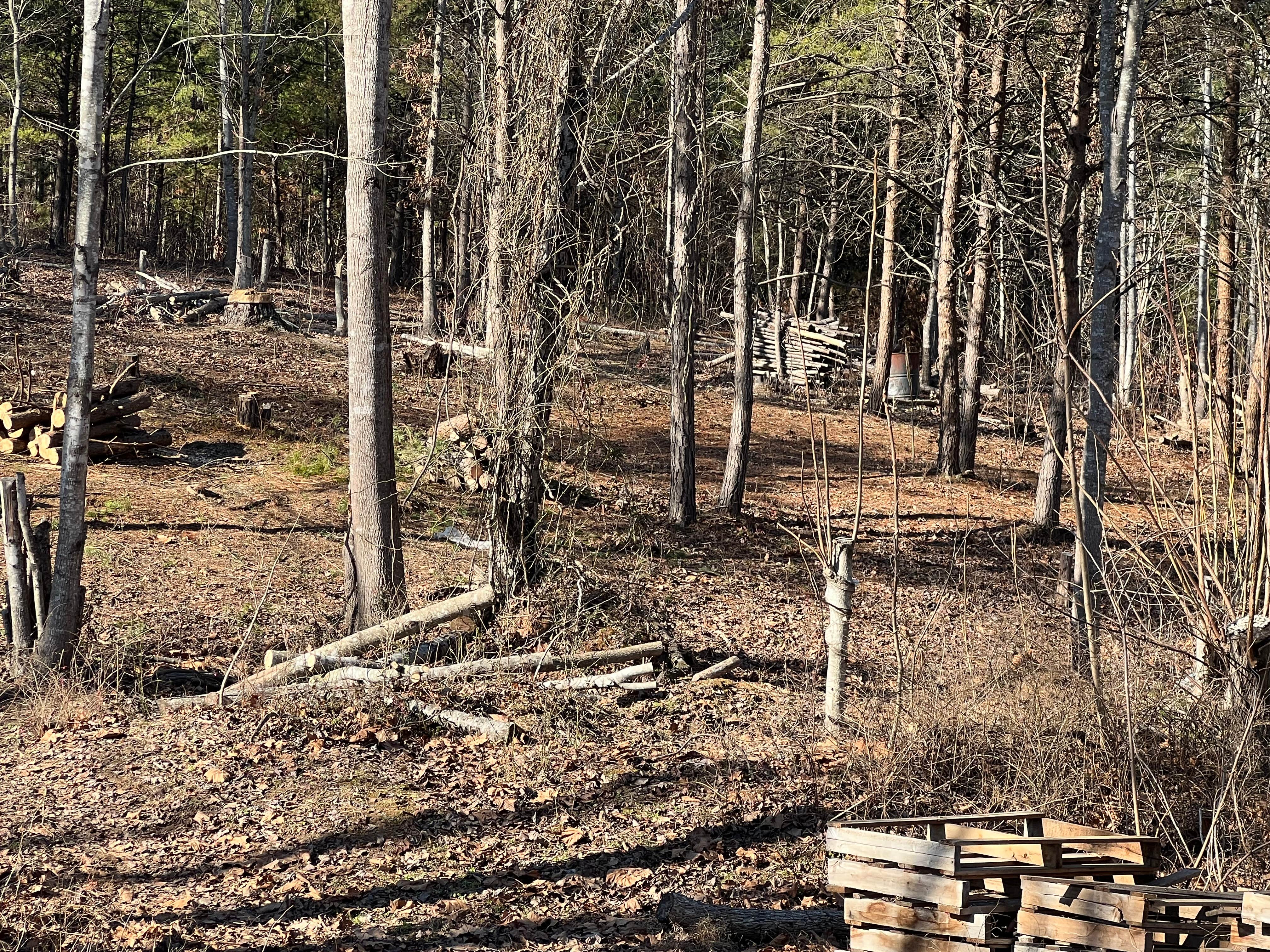 Camper-submitted photo at RodneysRaptors near Chatham, VA