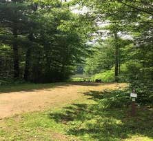 Camper-submitted photo from Red Bridge Recreation Area - Allegheny National Forest