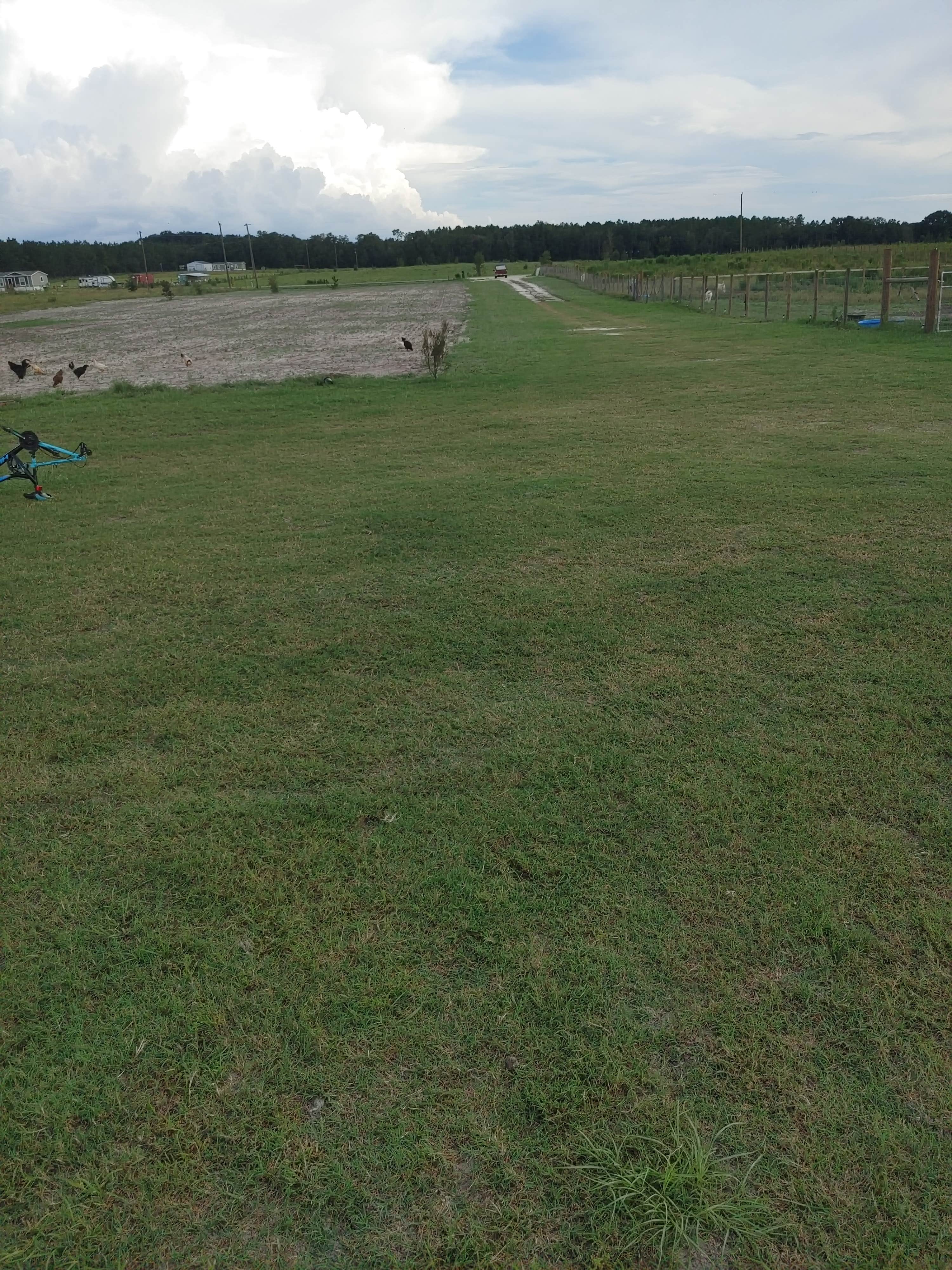 Camping near Faith and Love Farm: Guardian Farm Camping, O'brien, Florida